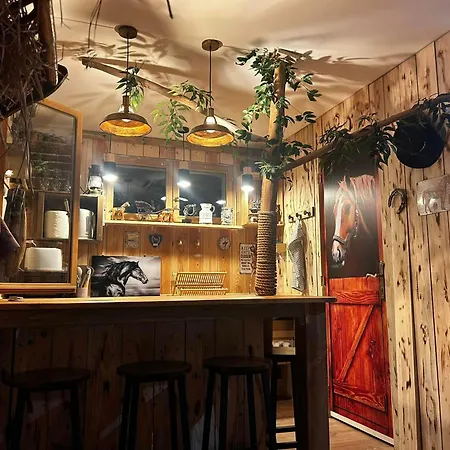 Les De Paulette - A Themes - Jack Sparrow - Koh Lanta - Harry Potter - Zen Affittacamere Sainte-Marie-la-Mer