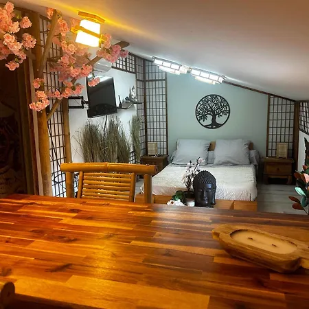 Les De Paulette - A Themes - Jack Sparrow - Koh Lanta - Harry Potter - Zen ゲストハウス 3*